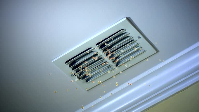 Best Residential Air Duct Cleaning  in Kayak Point, WA